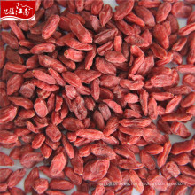 Ningxia goji berry en China